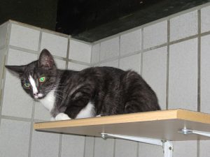 img_8445-andere