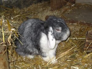 img_8463-anderematze