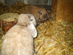 img_8476-andere