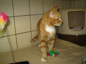 img_8491-andere