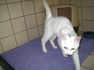 img_8494-andere