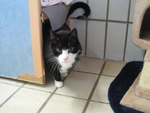 img_8525-anderemats