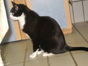 img_8533-andere