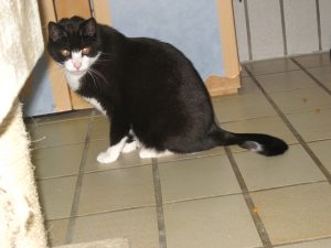 img_8538-andere
