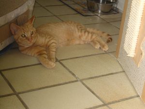 img_8544-andere