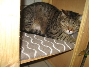 img_8597-anderebobek