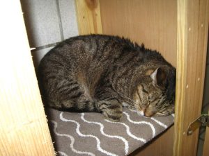 img_8598-andere