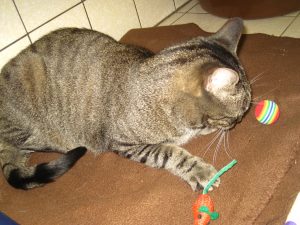 img_8648-andere