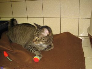 img_8654-andere