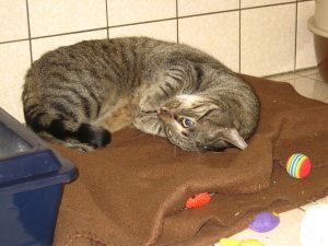 img_8658-andere