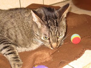 img_8659-andere