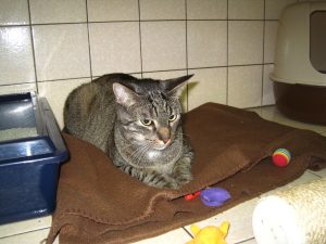 img_8668-andere