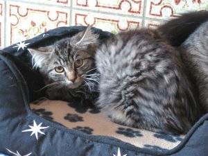 img_8725-andere