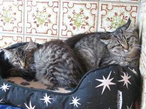 img_8730-andere