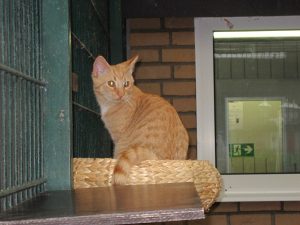 img_8776-andere