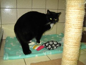img_8790-andere