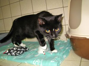 img_8792-andere