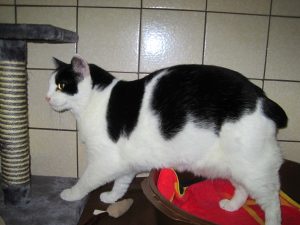 img_8800-andere