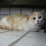 img_8836-andere