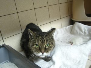 img_8853-andere