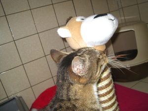 img_8860-andere
