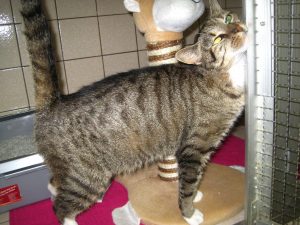 img_8861-andere