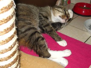 img_8873-andere