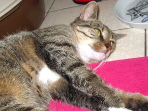 img_8875-andere