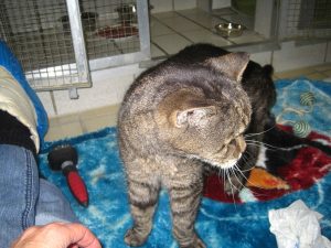 img_8886-andere