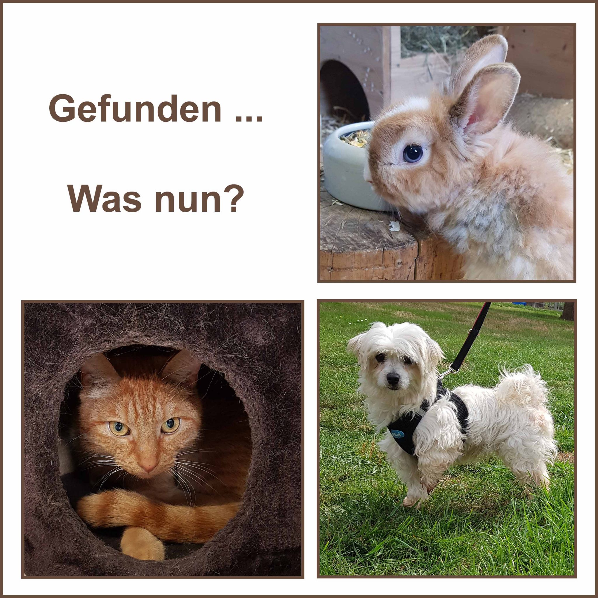 Willkommen im Moerser Tierheim! | TIERHEIM MOERS