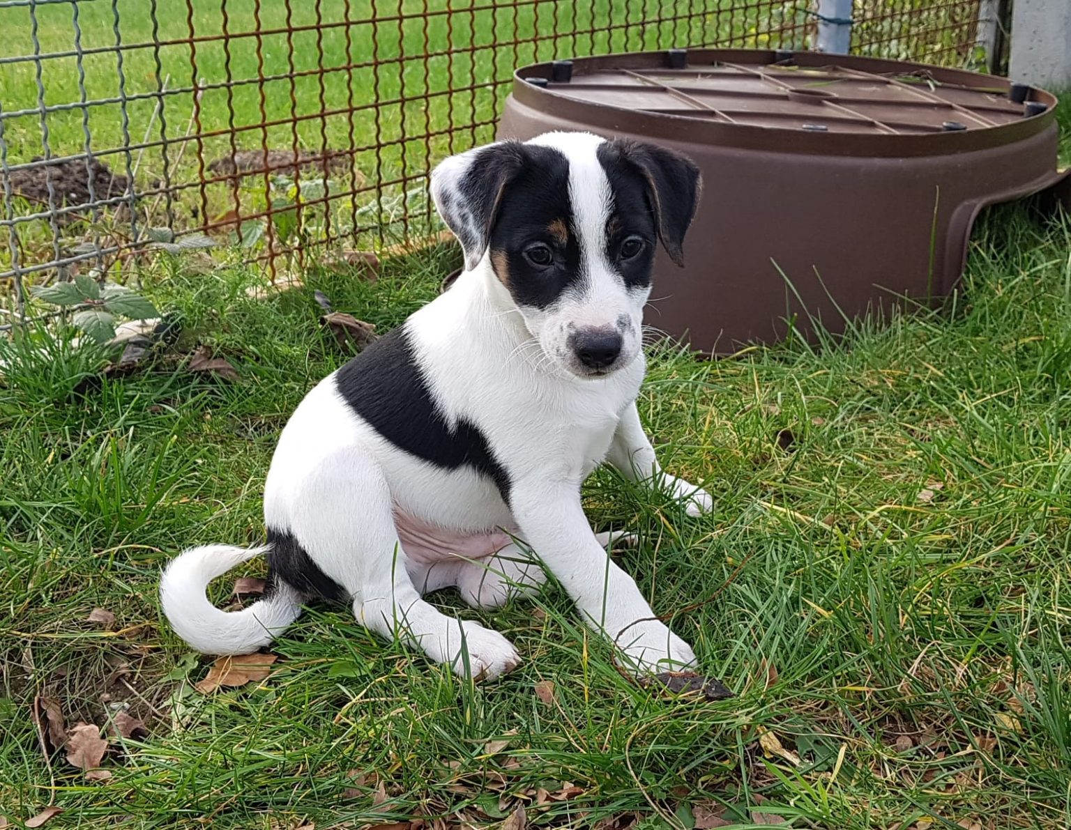 Willkommen im Moerser Tierheim! | TIERHEIM MOERS